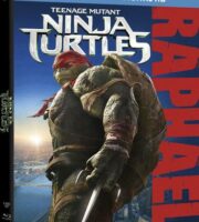 Teenage Mutant Ninja Turtles 2014 BluRay 300MB Dual Audio In Hindi 480p