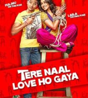 Tere Naal Love Ho Gaya 2012 HDRip 350MB 480p Full Hindi Movie Download