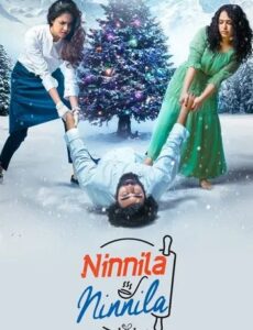 Ninnila Ninnila 2021 HDRip 300MB 480p Full Hindi Dubbed Movie Download