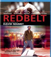 Redbelt 2008 Dual Audio Hindi 480p BluRay 300mb