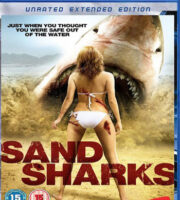 Sand Sharks 2011 Dual Audio Hindi 480p BluRay 300mb
