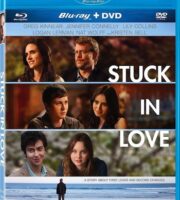 Stuck in Love 2012 Hindi Dual Audio BRRip 480p 300mb ESub