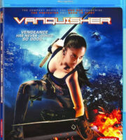 The Vanquisher 2009 Hindi Dubbed BRRip 480p 300mb