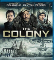 The Colony 2013 Dual Audio [Hindi Eng] BRRip 480p 300mb