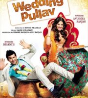 Wedding Pullav 2015 Hindi 480p DVDScr 300mb