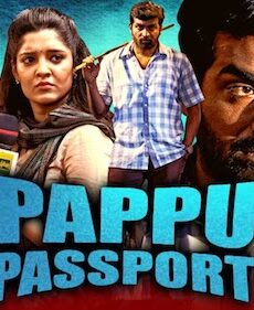 Pappu Passport 2020 Hindi Dubbed 720p HDRip 1GB