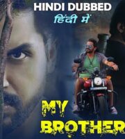 My Brother Vicky 2020 Hindi Dubbed 720p HDRip 999MB