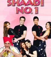 Shaadi No. 1 (2005) HDRip 720p Full Hindi Movie Download