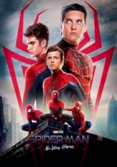 Spider-Man: No Way Home (2021) Dual Audio 720p HEVC BrRip 1GB