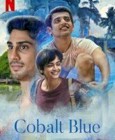 Cobalt Blue 2022 Hindi 720p 480p WEB-DL