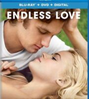 Endless Love 2014 BluRay 300MB Dual Audio In Hindi 480p