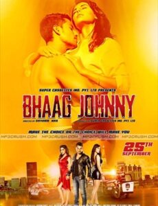 Bhaag Johnny 2015 Hindi 480p DVDRip 350mb ESub