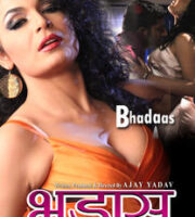 Bhadaas 2013 Hindi HDRip 720p 700mb