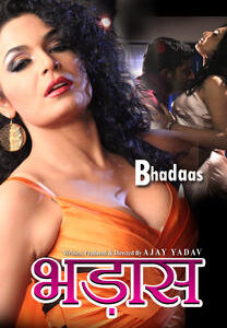 Bhadaas 2013 Hindi HDRip 720p 700mb