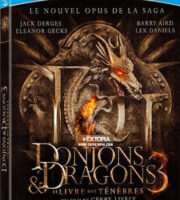 Dungeons & Dragons: The Book Of Vile Darkness (2012) Dual Audio [Hindi Eng] BRRip 480p 300mb