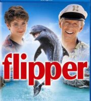 Flipper 1996 Dual Audio Hindi 480p BluRay 300mb