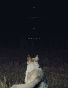 It Comes at Night 2017 English 720p WEB-DL 750MB ESubs