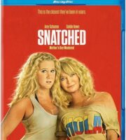 Snatched 2017 Dual Audio ORG Hindi 480p BluRay 280mb