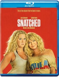 Snatched 2017 Dual Audio ORG Hindi 480p BluRay 280mb