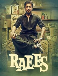 Raees 2017 BluRay 720p Full Hindi Movie Download