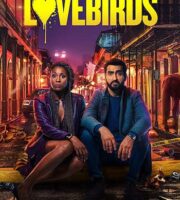 The Lovebirds 2020 English 720p WEB-DL 700MB ESubs