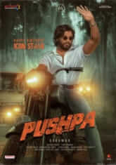 Pushpa (2021) Hindi Dubbed 720p HEVC WEBRip 1.1GB