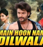 Main Hoon Dilwala 2021 Hindi Dubbed 720p 480p HDRip