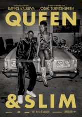 Queen & Slim (2019) Dual Audio 720p HEVC BrRip 950mb