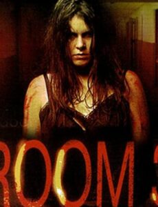 Room 33 (2009) DVDRip 720p Dual Audio In Hindi English