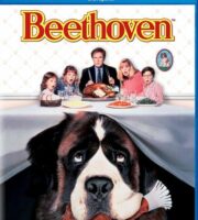 Beethoven 1992 BluRay 720p Dual Audio In Hindi English