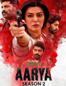 Aarya S02 Hindi 720p 480p WEB-DL