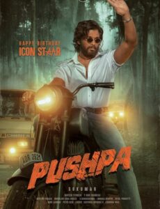 Pushpa The Rise Part 1 (2021) UNCUT Dual Audio Hindi 720p 480p WEB-DL