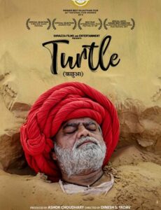 Turtle 2018 Hindi 720p 480p WEB-DL